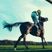 疾走する競走馬と騎手